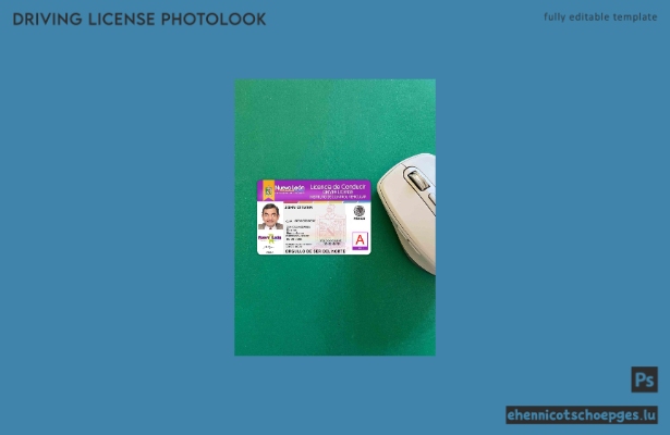 Mexiko, Nuevo León, Beispielansicht des Führerscheinfotos